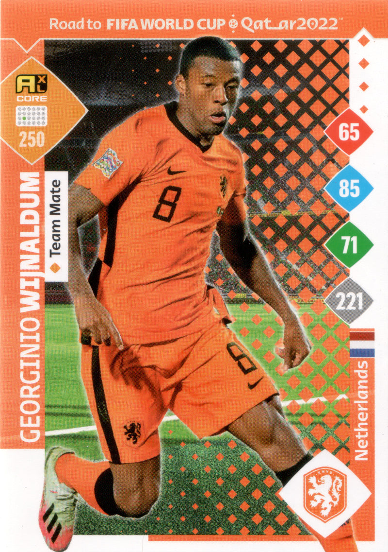 Panini AdrenalynXL Road to World Cup 2022 Qatar |